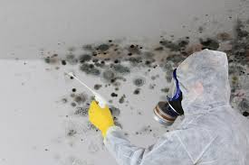 Best Mold Odor Removal Services  in Hardinsburg, KY